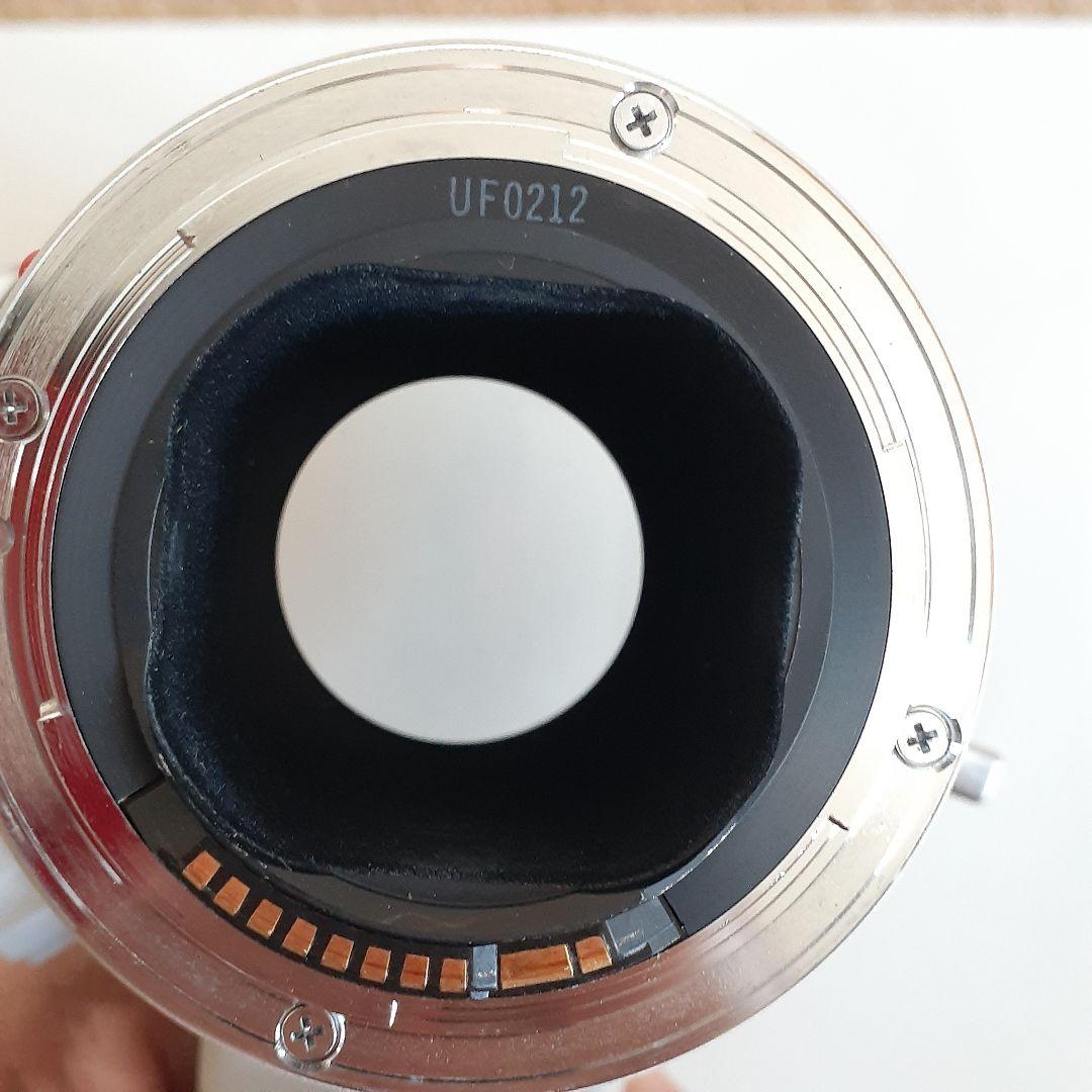 キャノン Canon レンズ EF 300mm F2.8L USM