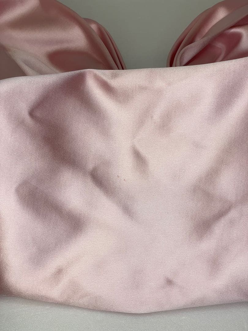 Sandy Liang Regalo Bag In Carnation バッグ