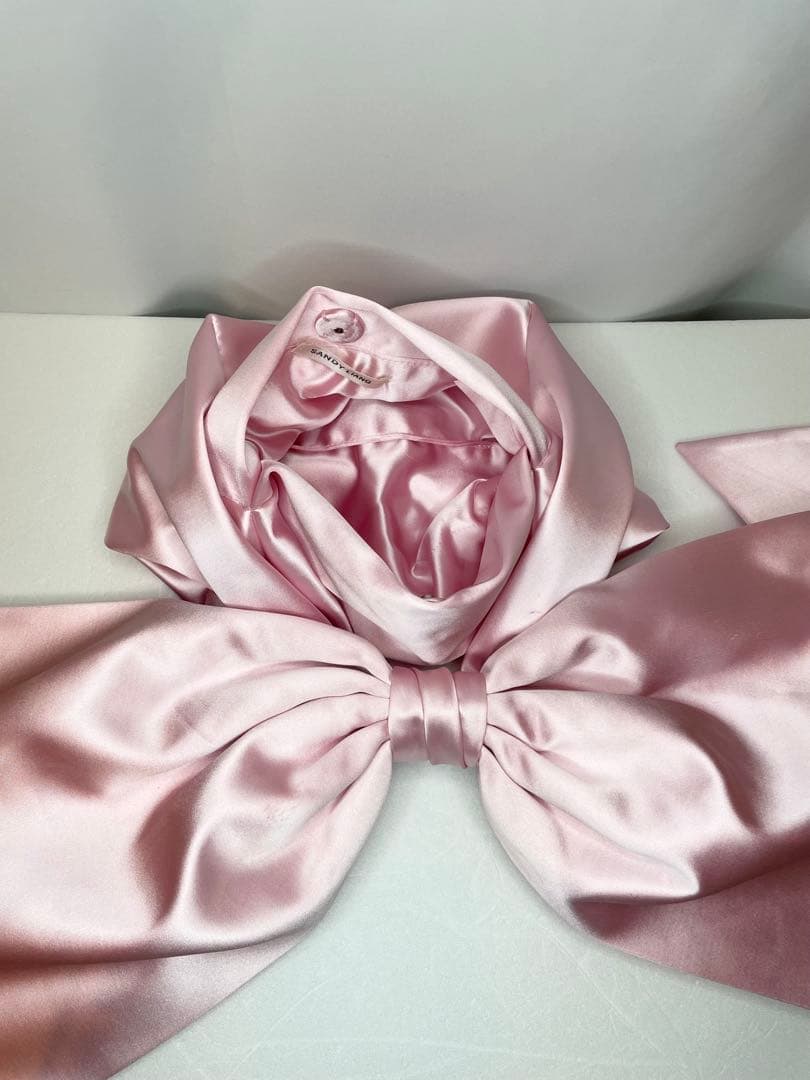 Sandy Liang Regalo Bag In Carnation バッグ