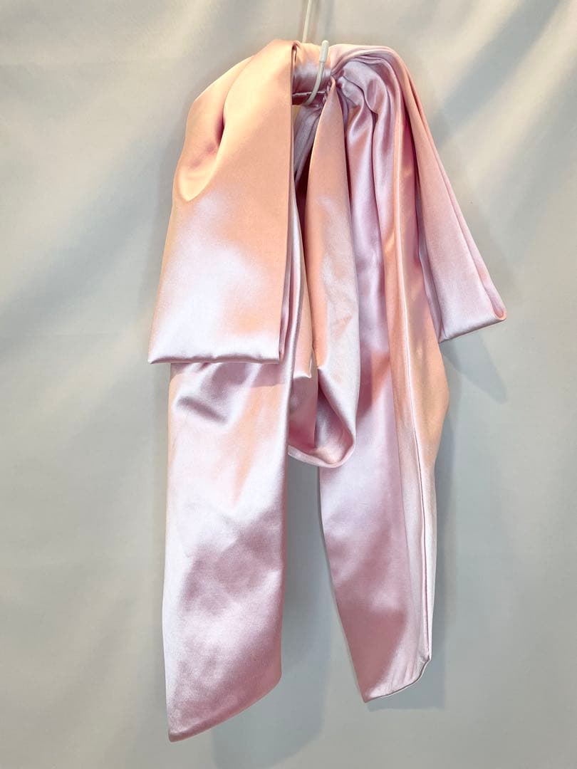 Sandy Liang Regalo Bag In Carnation バッグ