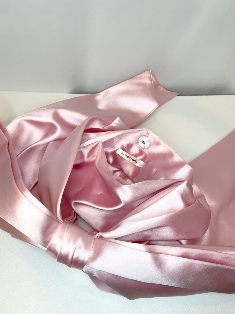 Sandy Liang Regalo Bag In Carnation バッグ