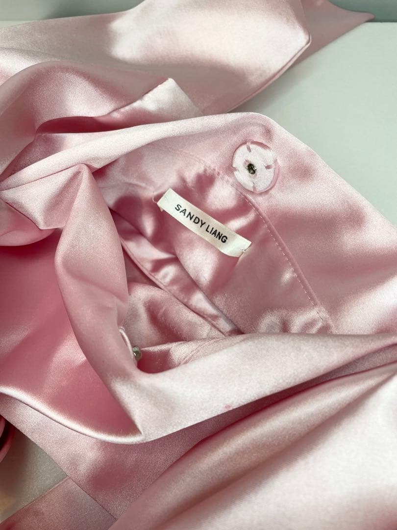 Sandy Liang Regalo Bag In Carnation バッグ