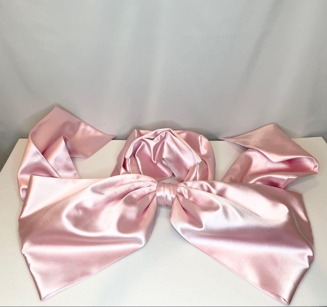 Sandy Liang Regalo Bag In Carnation バッグ