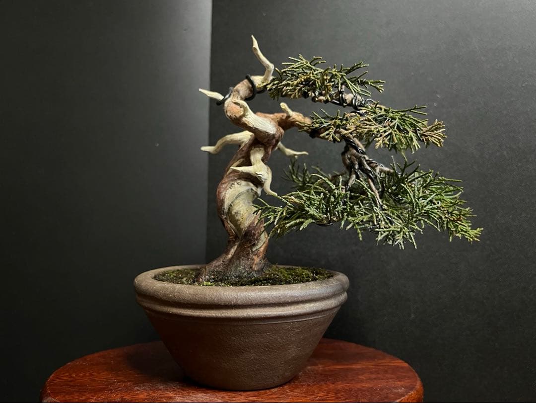 真柏盆栽　糸魚川真柏　古木　捻転シャリ　小品盆栽ミニ盆栽 樹高12cm 喜仙鉢