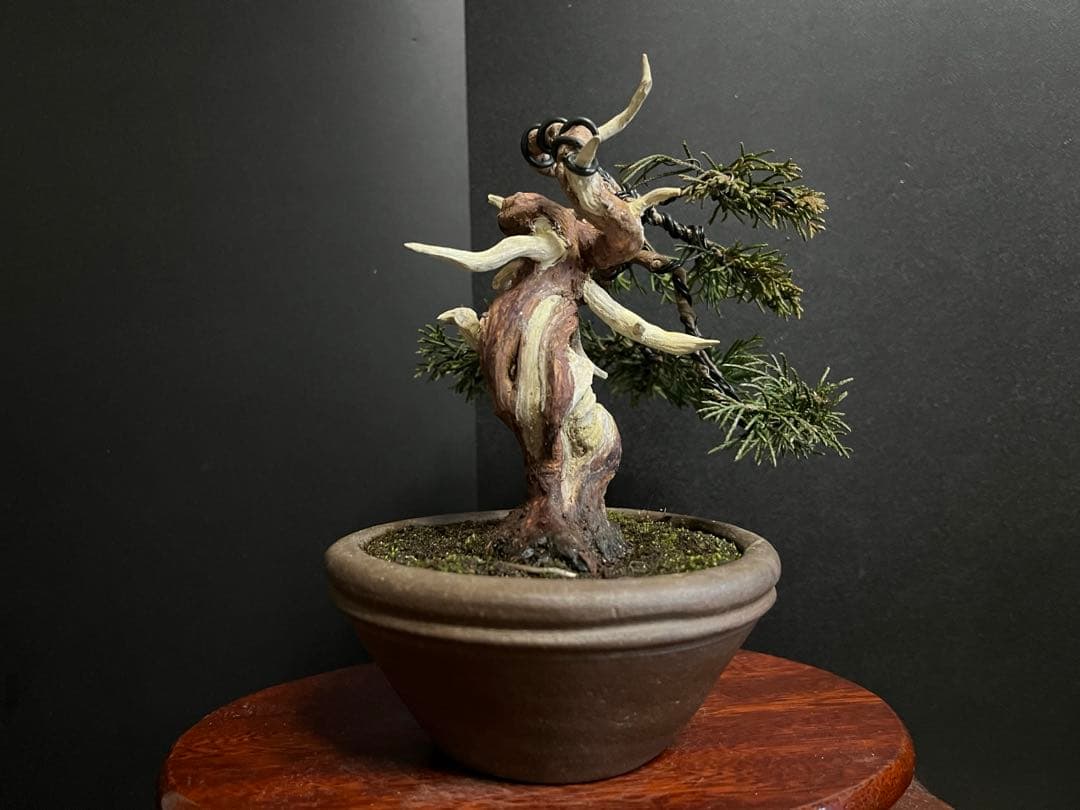 真柏盆栽　糸魚川真柏　古木　捻転シャリ　小品盆栽ミニ盆栽 樹高12cm 喜仙鉢