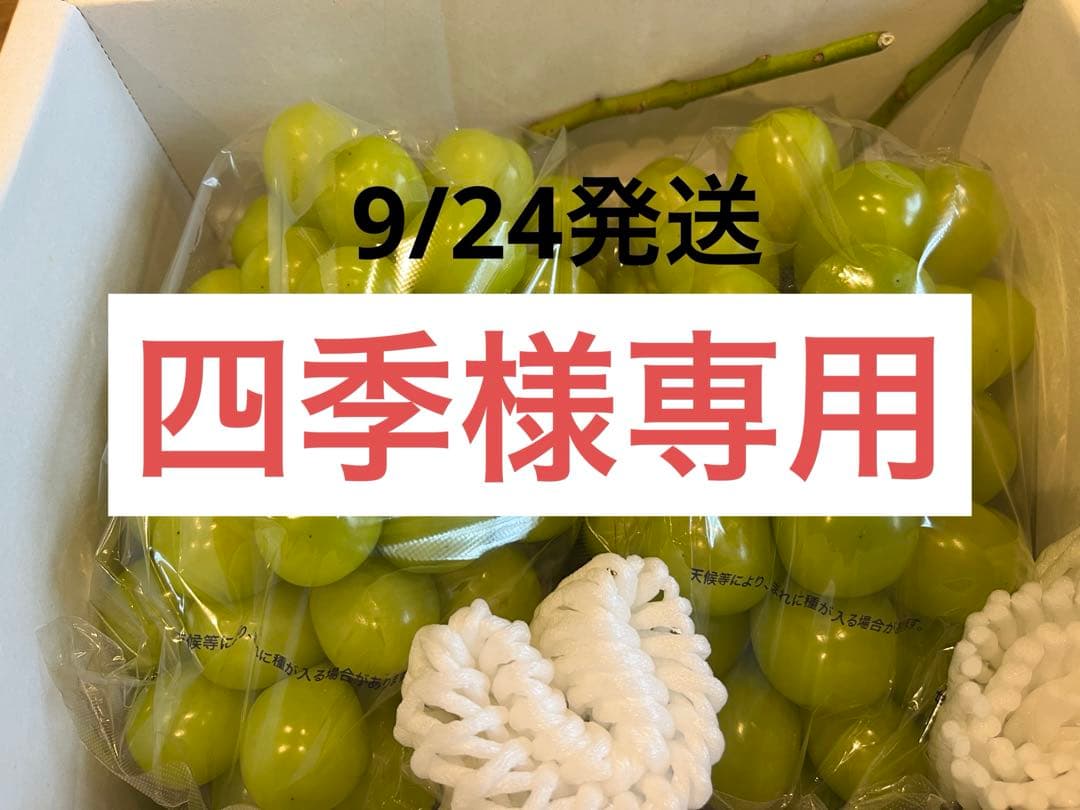 9/24発送※四季※