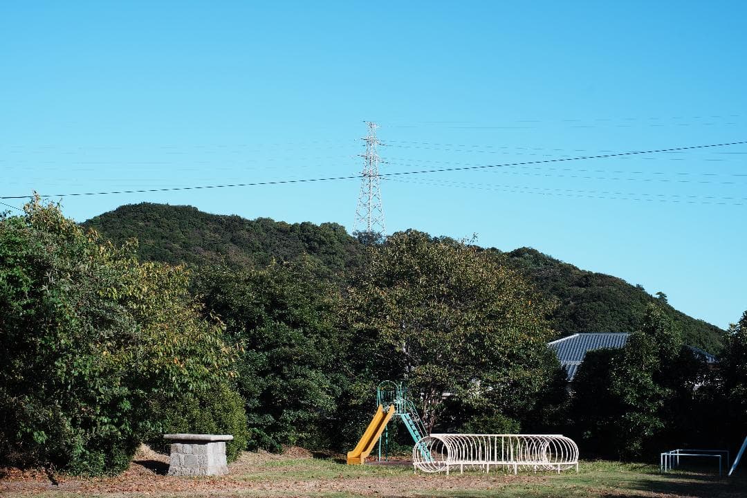 整＆テ済 Carl Zeiss Planar 50mm F1.4 AEJ 185