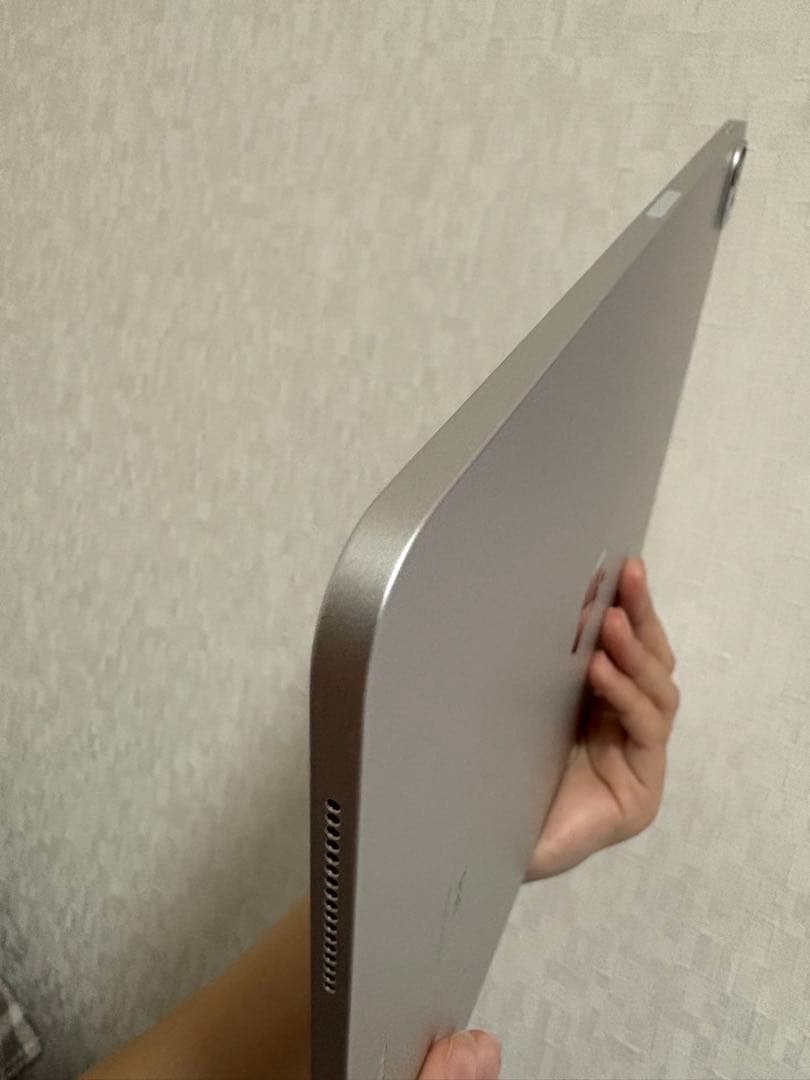 【Apple Pencil付】iPadPro第4世代Wi-Fiモデル256GB