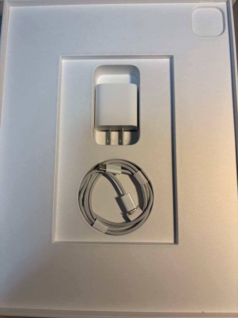 【Apple Pencil付】iPadPro第4世代Wi-Fiモデル256GB