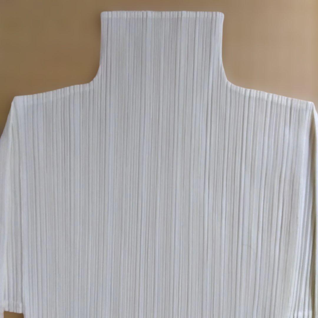 プリーツプリーズハイネックトップス