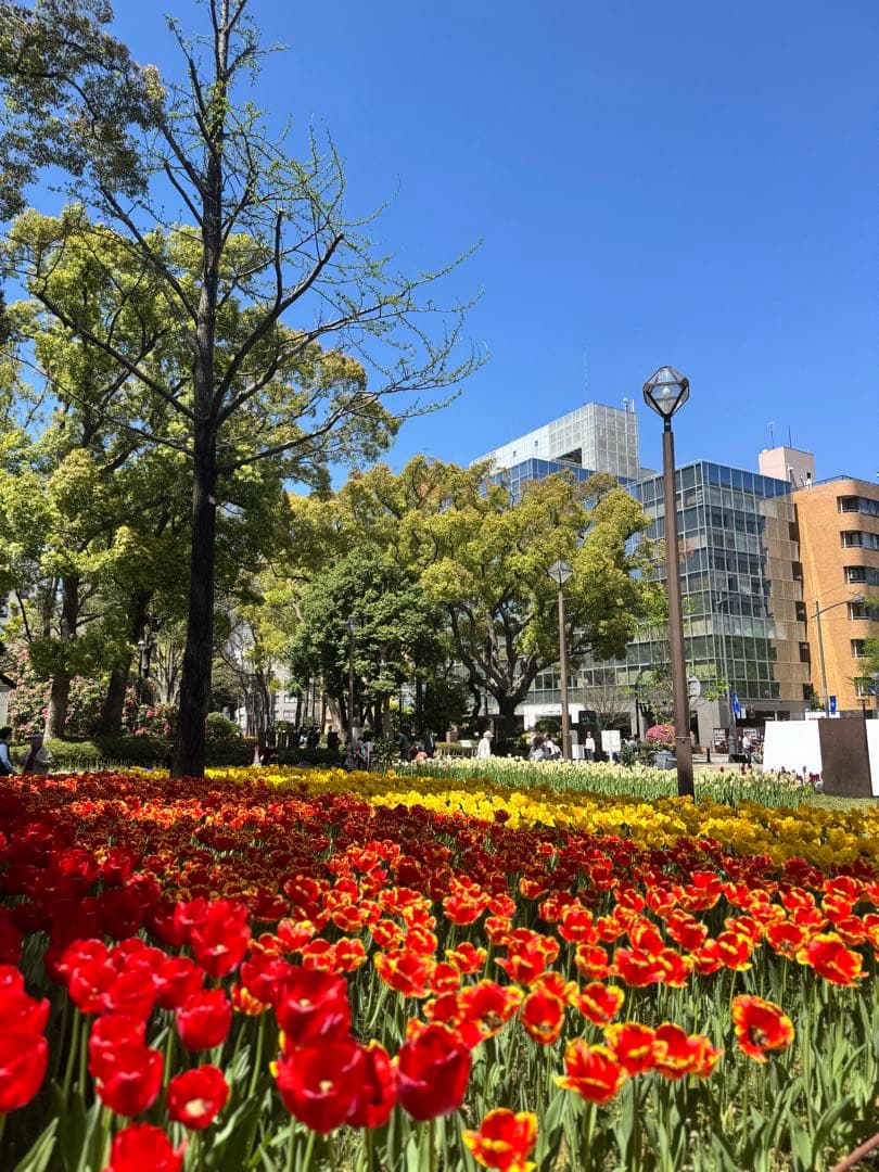 Nyanyako トールスピーカー