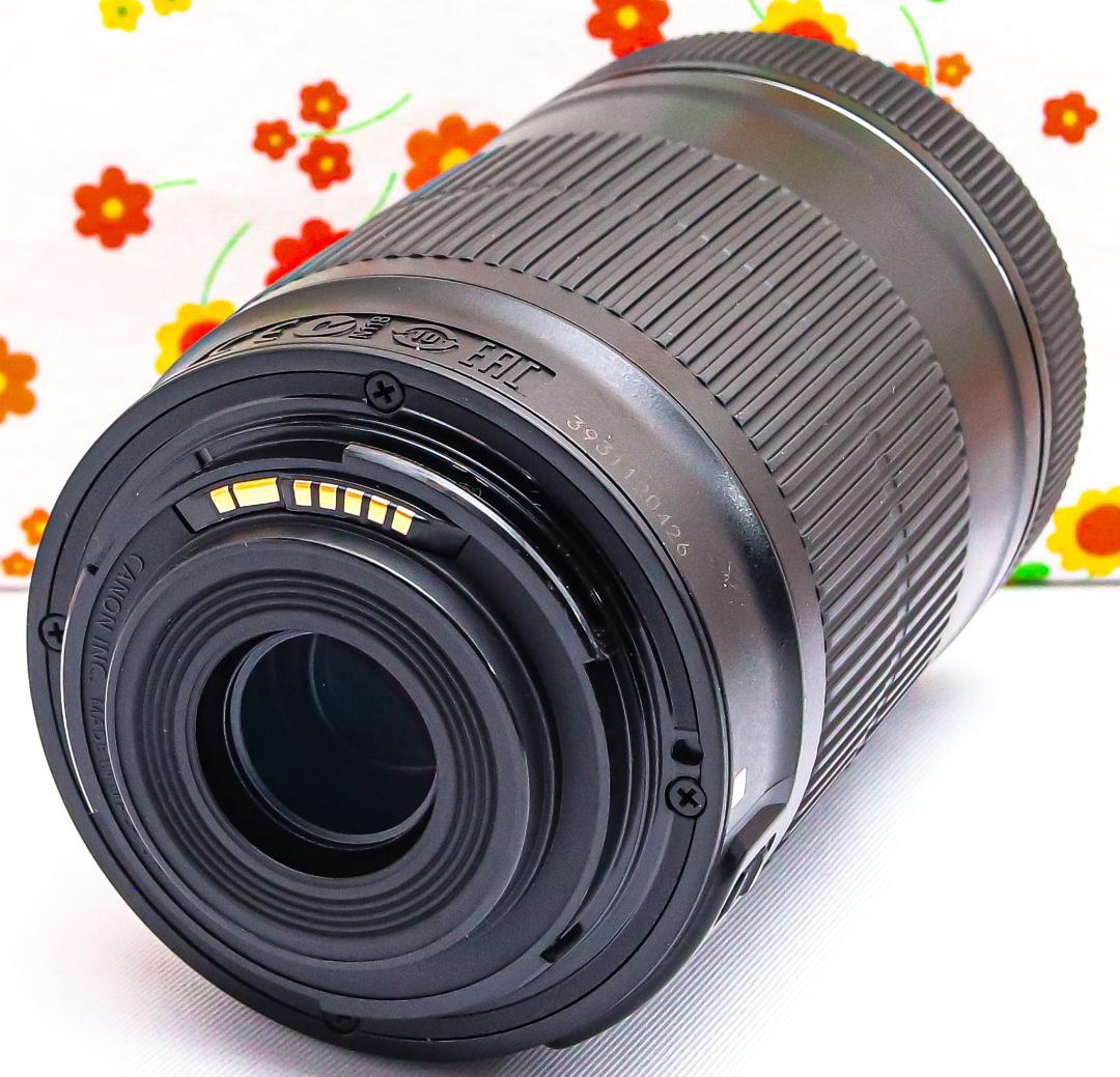 Canon EF-S 55-250mm IS STM☆静かに、遠くまで美しく届く