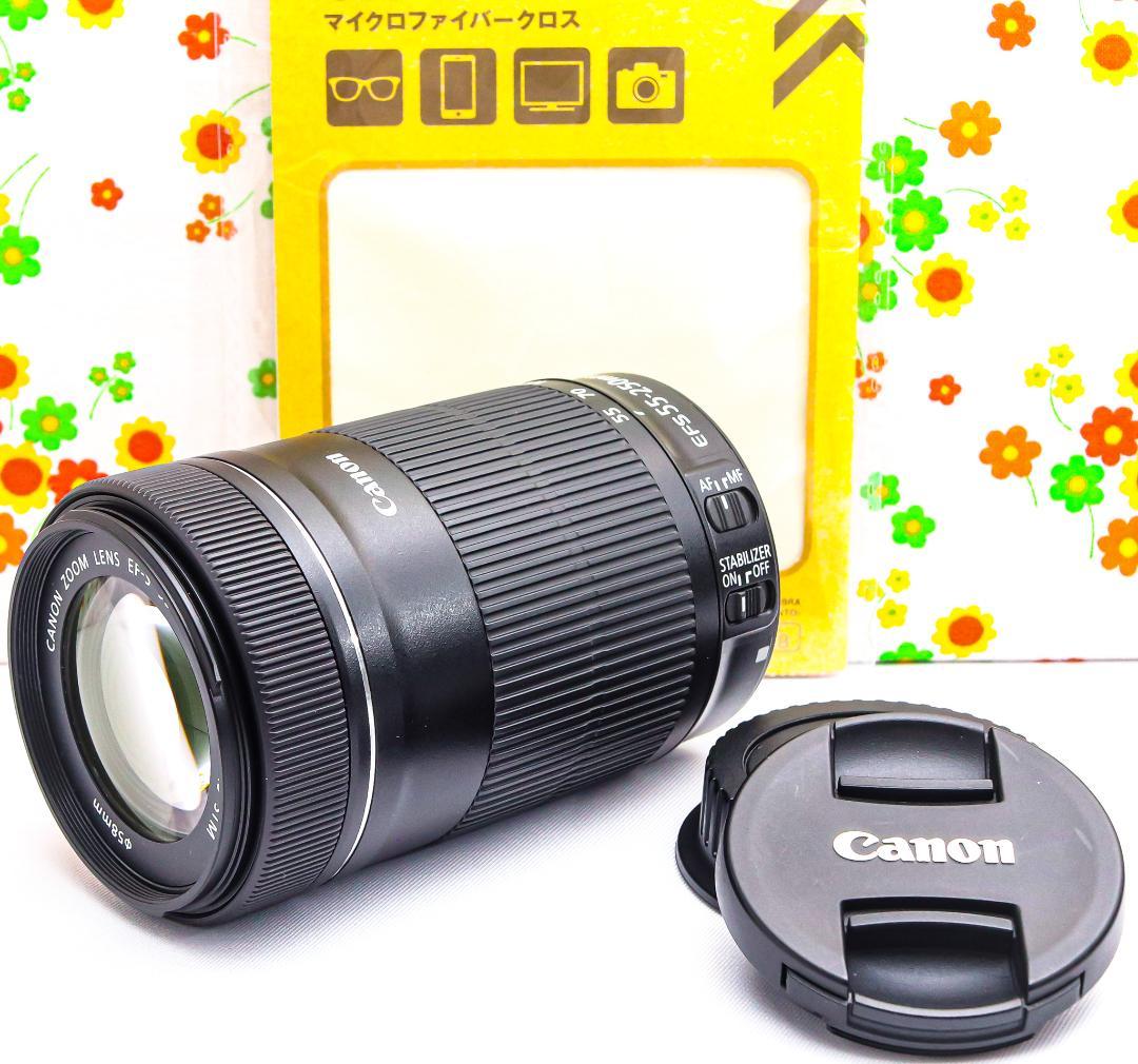 Canon EF-S 55-250mm IS STM☆静かに、遠くまで美しく届く