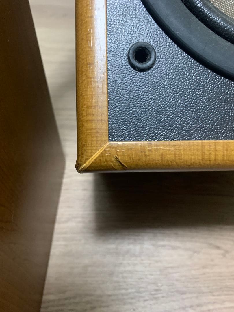 DIATONE DS-200ZX スピーカー