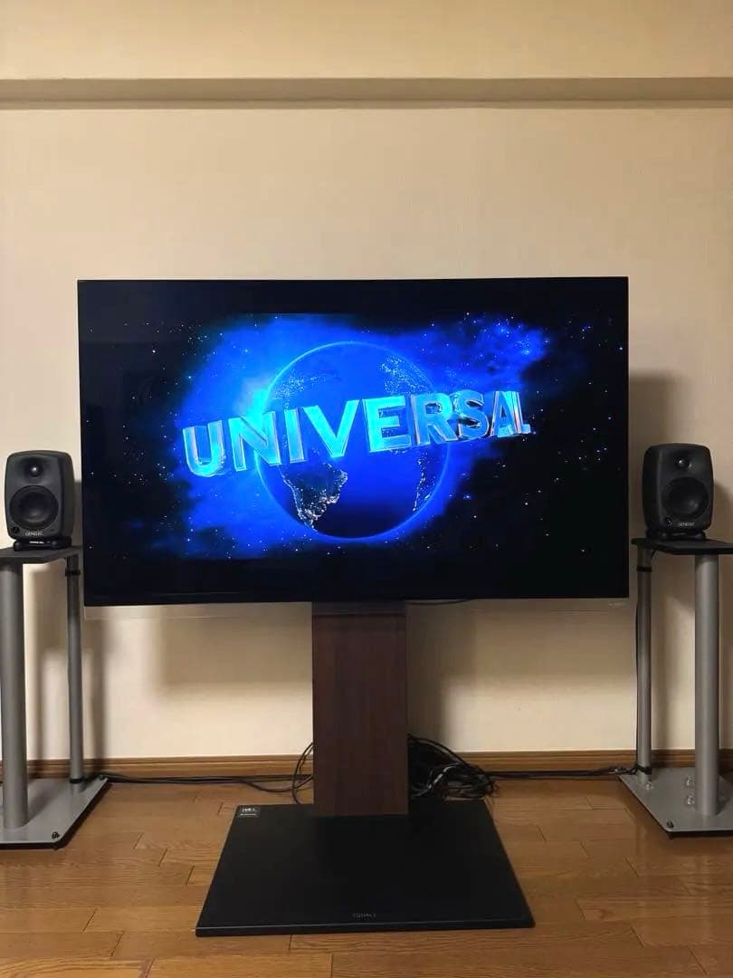 LG 有機EL 55 テレビ TV 本体 OLED55E9PJA プレミア