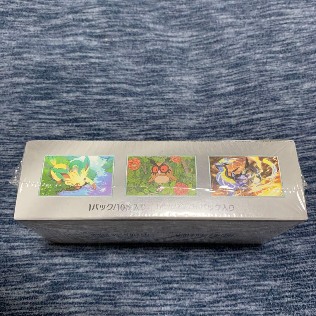 テラスタルフェスex