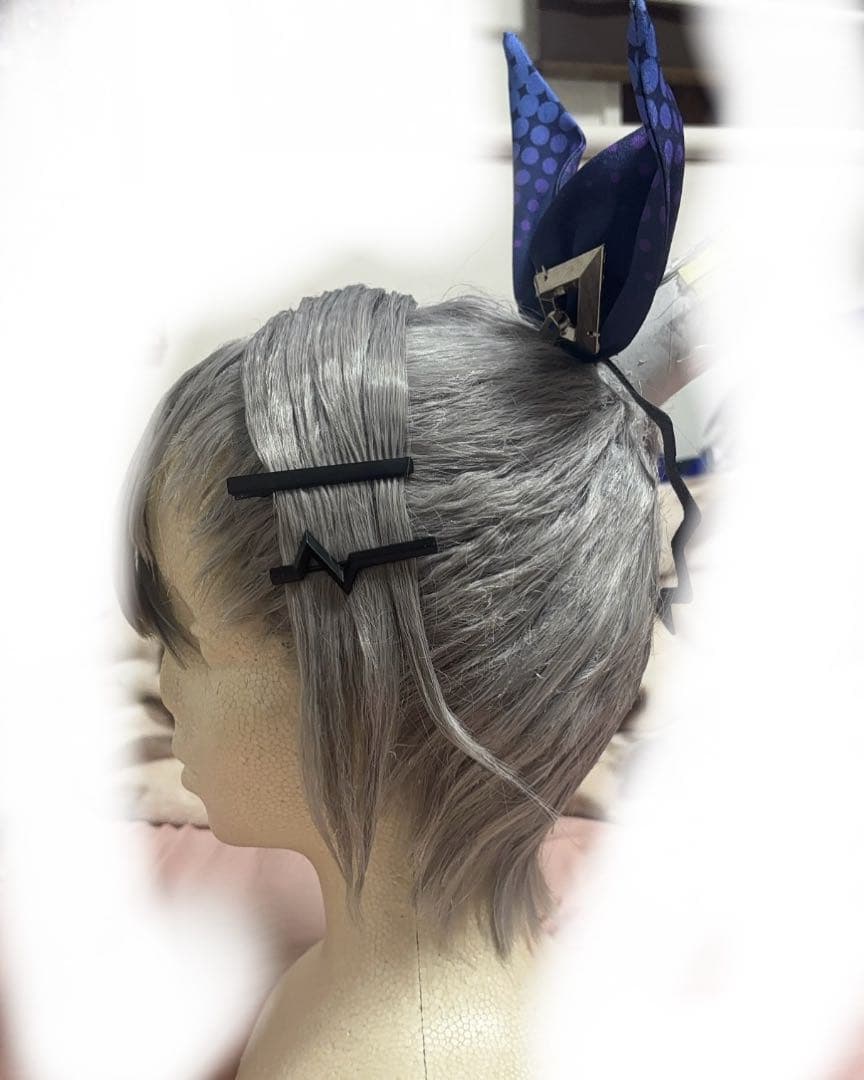 銀狼 三分妄想衣装 ウィッグセット済み