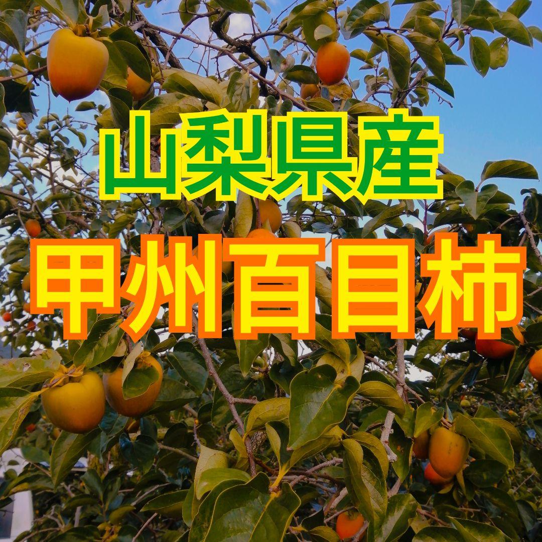 vanda様　枯露柿・干し柿用　渋柿　甲州百目柿　20kg