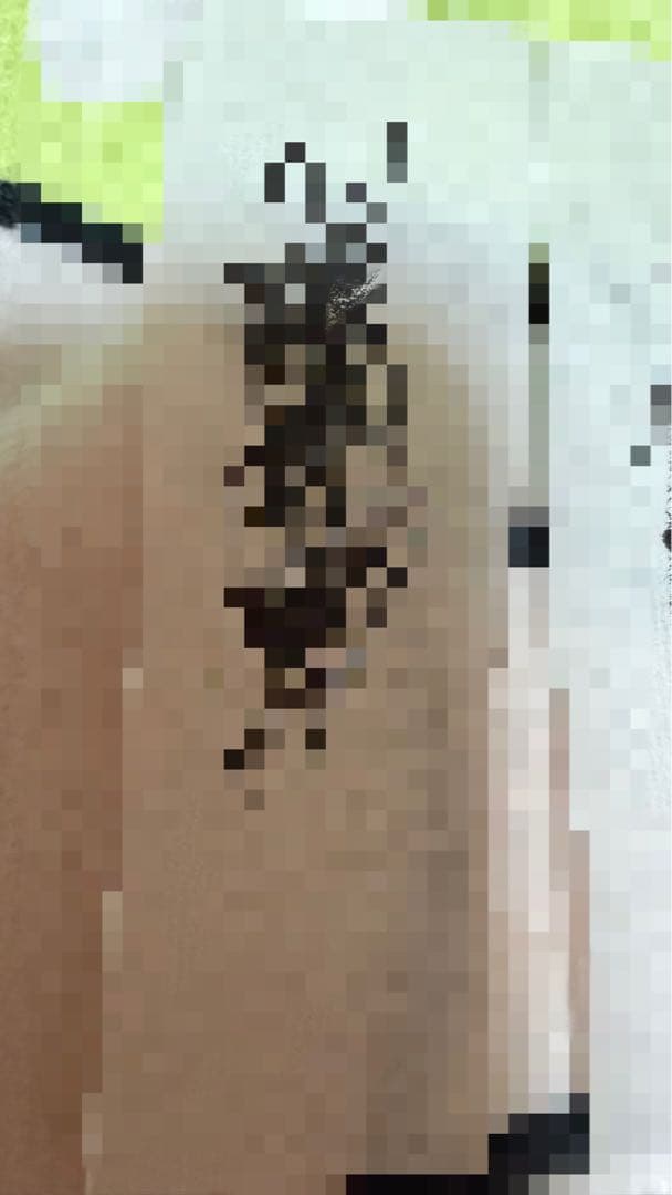 即購入可‼️ラスト2体‼️白蛇御神体お守り 選べません 必要な人が持つ事