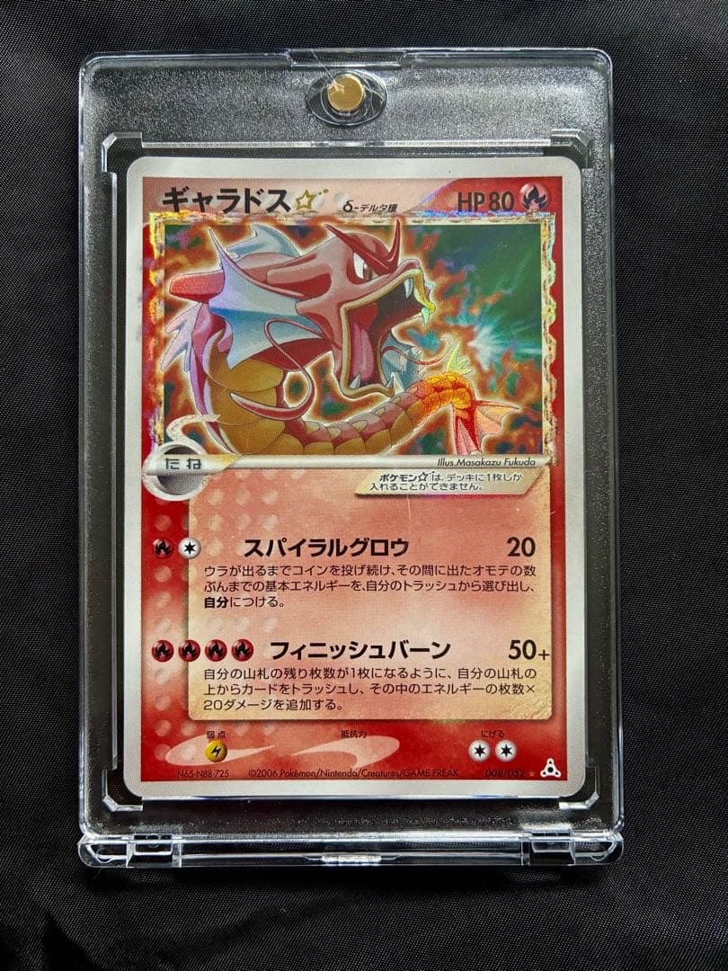 ギャラドス デルタ種 プロテクター付き