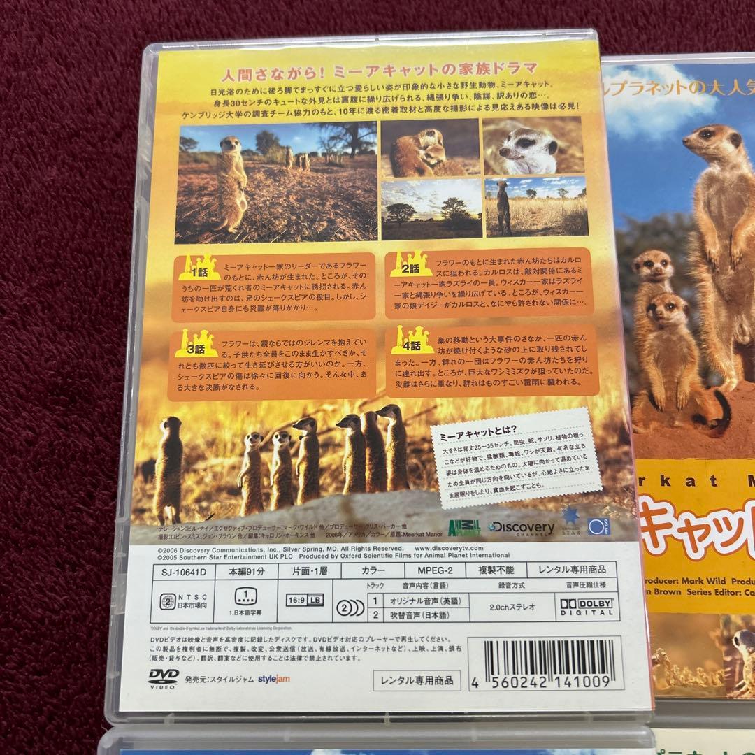 《激レア》アニマルプラネット ミーアキャットの世界 シーズン1 ＆2 全巻セット