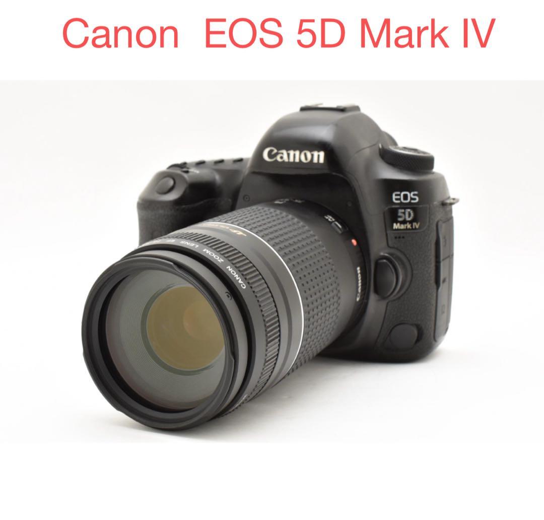 Canon EOS 5D Mark IV 望遠/Canon EF 75-300