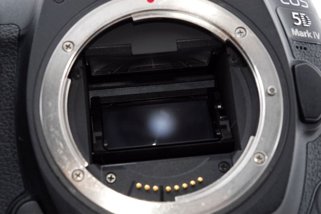 一眼レフカメラCanon EOS 5D Mark IV標準&望遠&単焦点セット