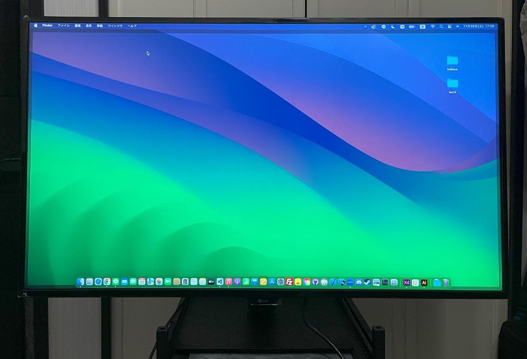 LG 42.5インチ 大画面IPS 4Kモニター / 43UD79-B