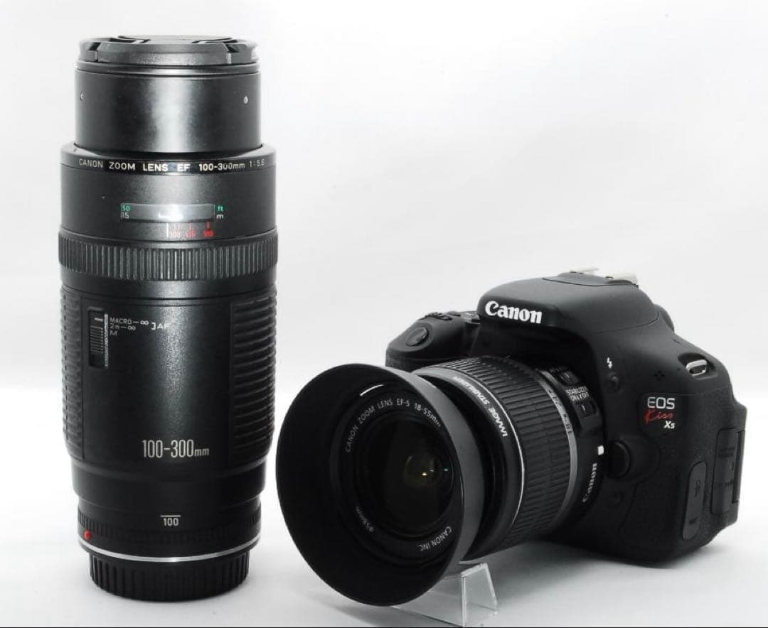 広角〜望遠まで◎憧れの一台Canon EOS Kiss X5ダブルレンズ