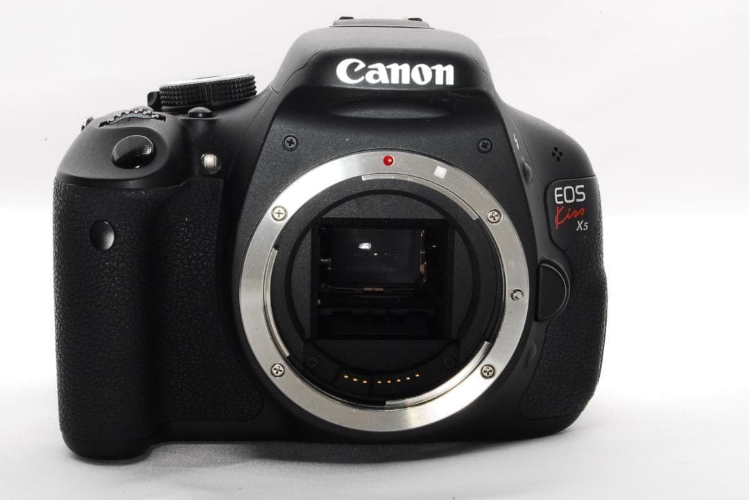 広角〜望遠まで◎憧れの一台Canon EOS Kiss X5ダブルレンズ