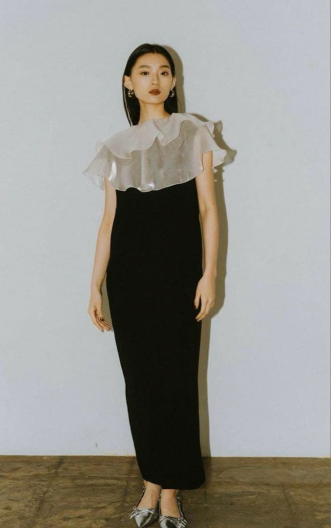 【一度着用】ANDRESD glossy multi ruffle dress