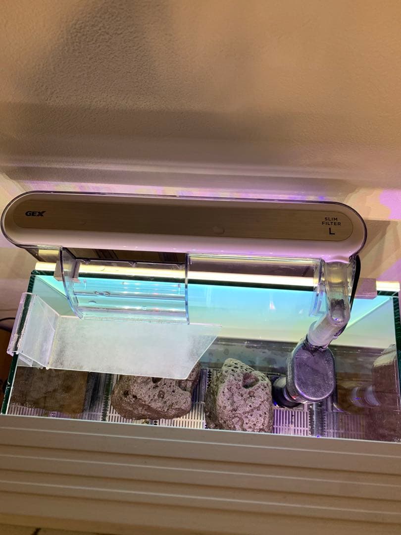 せ*い様 【引き取り限定】30㌢キューブガラス水槽 LEDライト付き 流木と岩の