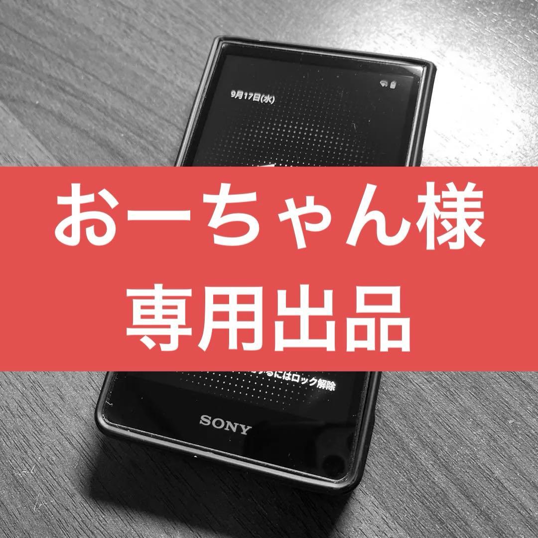 NW ZX707 ウォークマン+SanDisk128GB+ケース