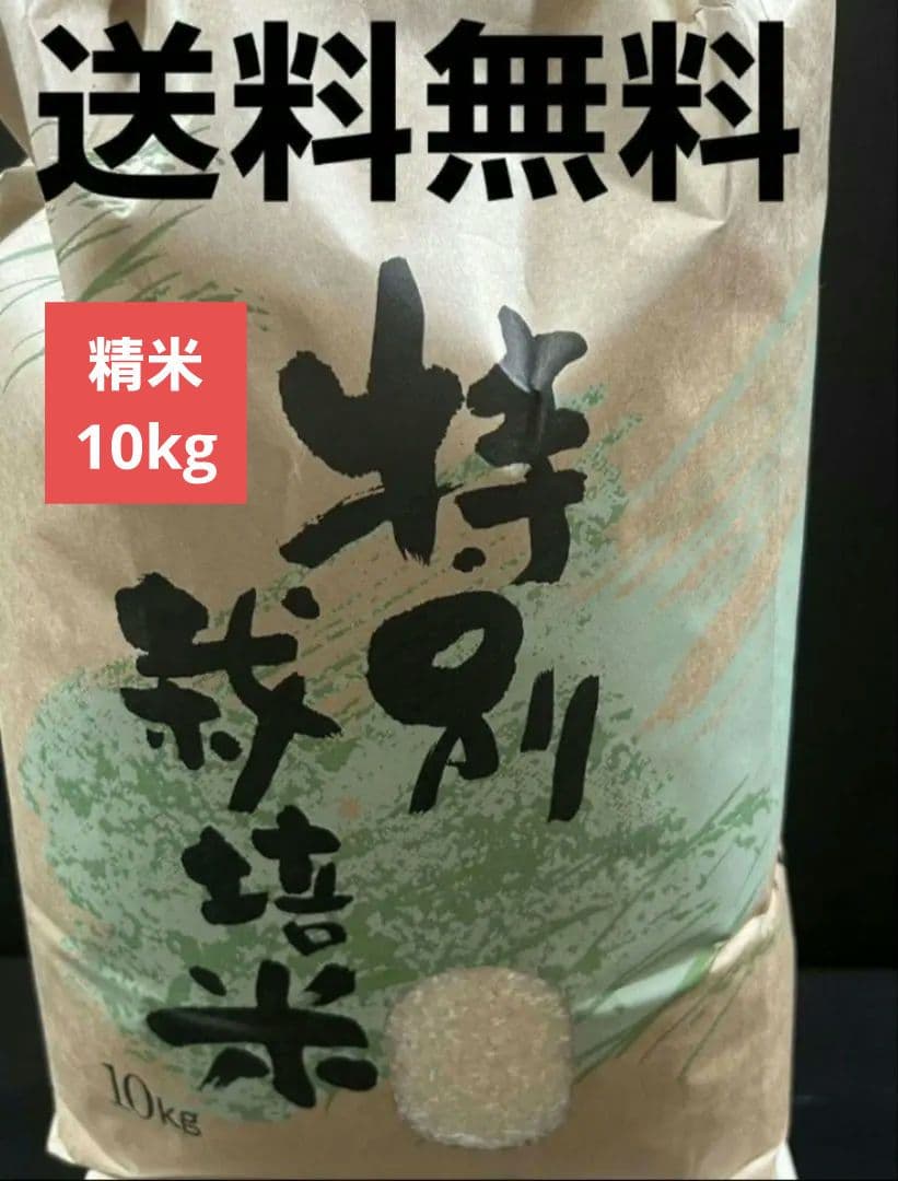 米 10kg(精米後) 精米４月 送料無料 ゆめみずほ