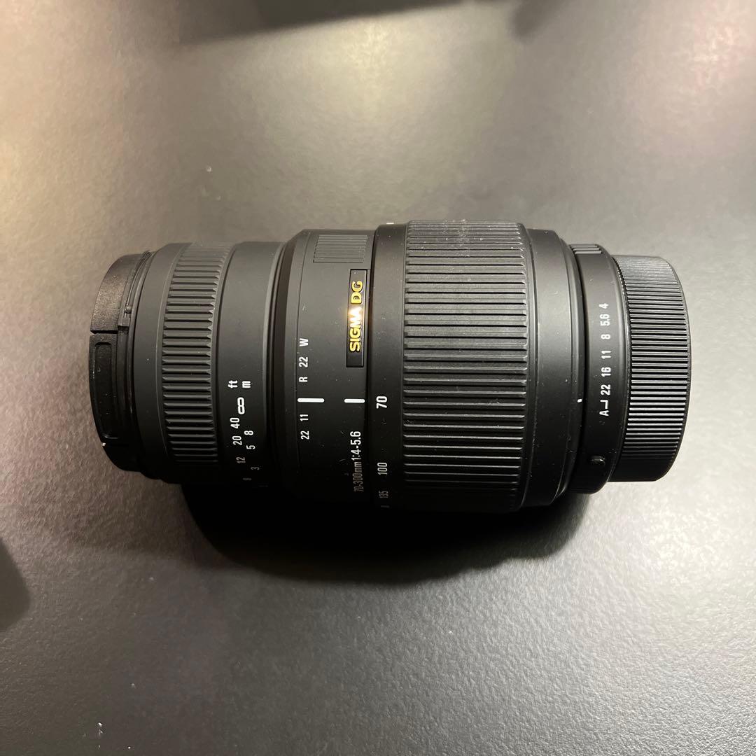 その他 SIGMA 70-300F4-5.6DG MACRO/P
