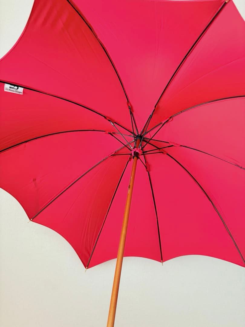 DiCesare Designs/ディチェザレ デザイン 傘