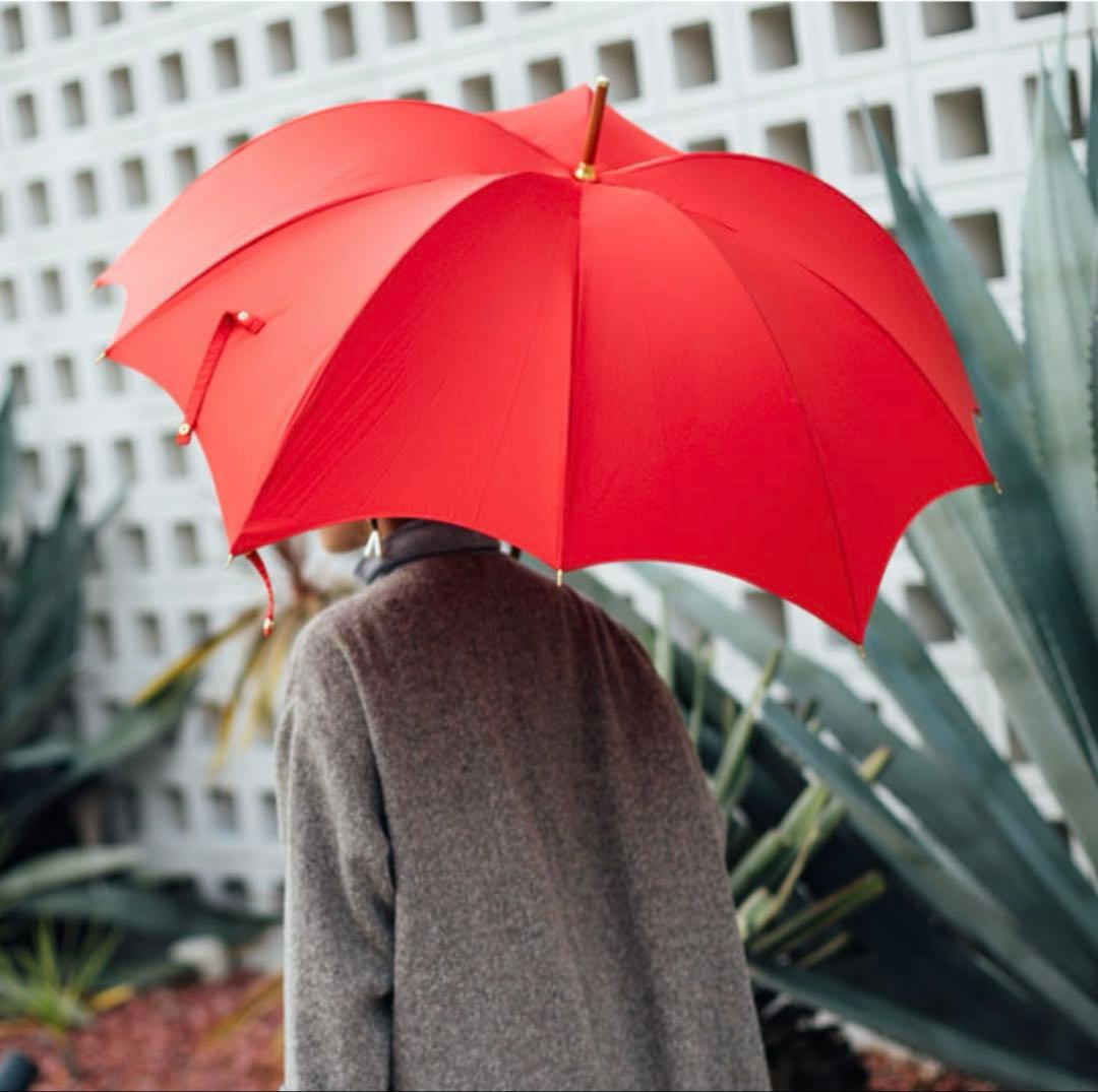 DiCesare Designs/ディチェザレ デザイン 傘