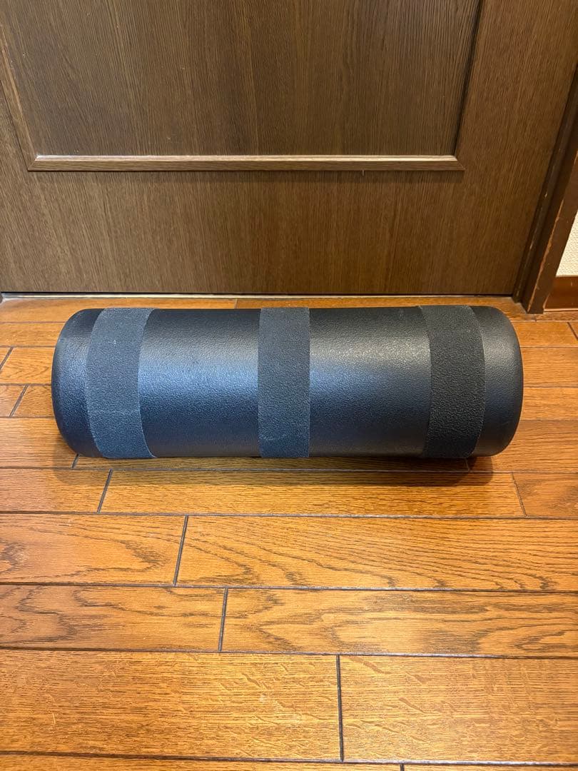 INDO BOARD バランスボード サーフィン