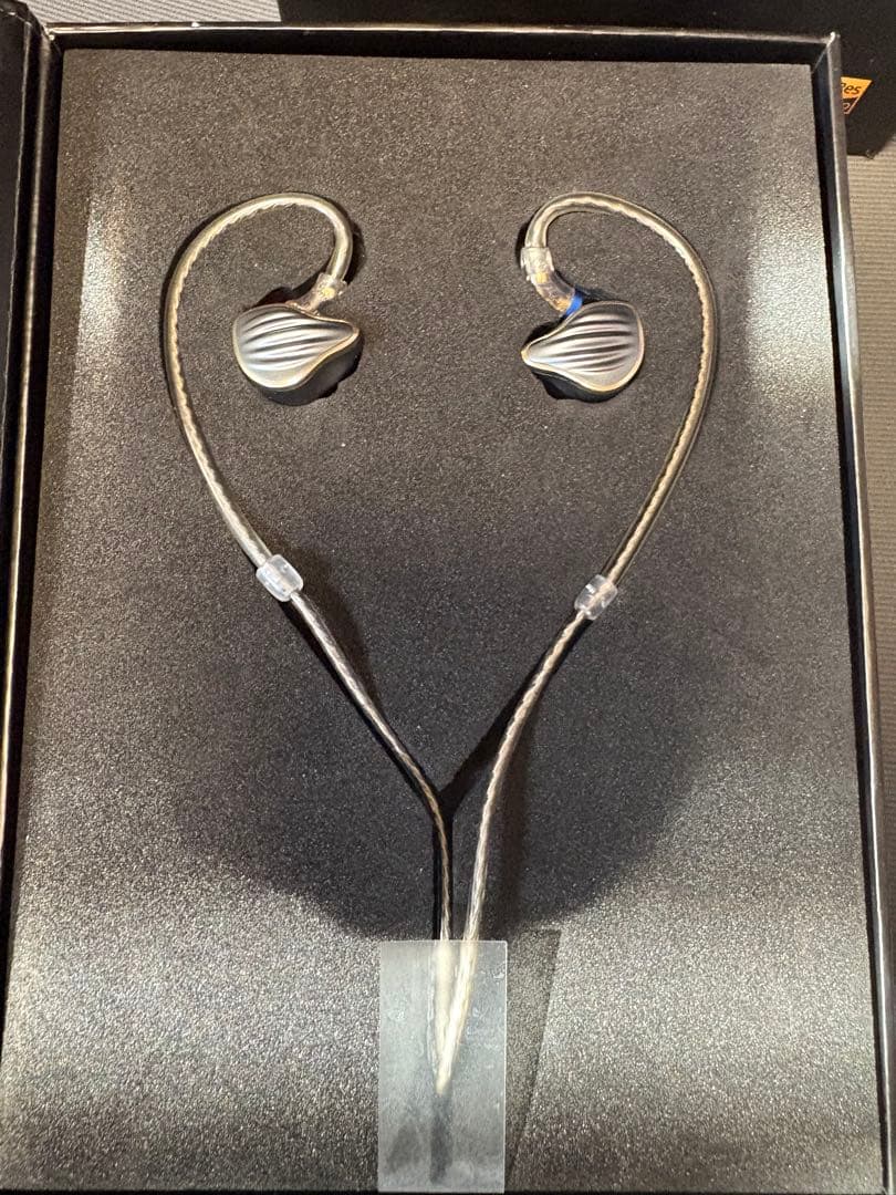 FiiO FH5 リケーブル可能イヤホン