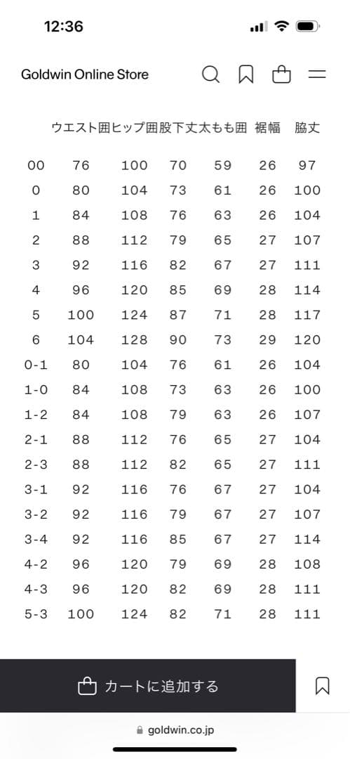 未使用品　ゴールドウィン　スキーウェア　ソリッド　ワイド パンツ Goldwin