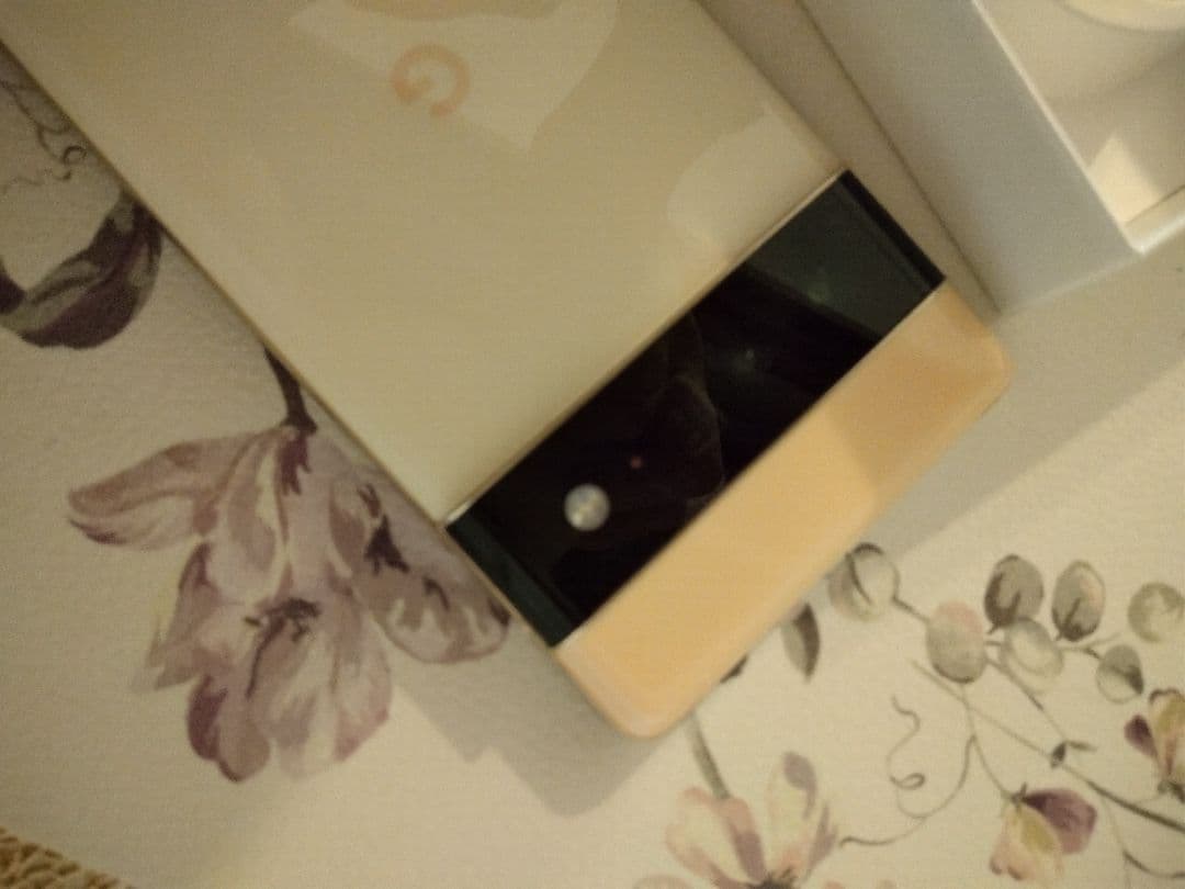 Google pixel 6pro 本体