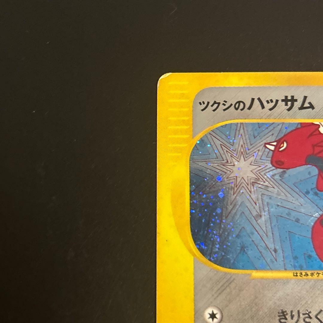 ツクシのハッサム 013/141 1枚