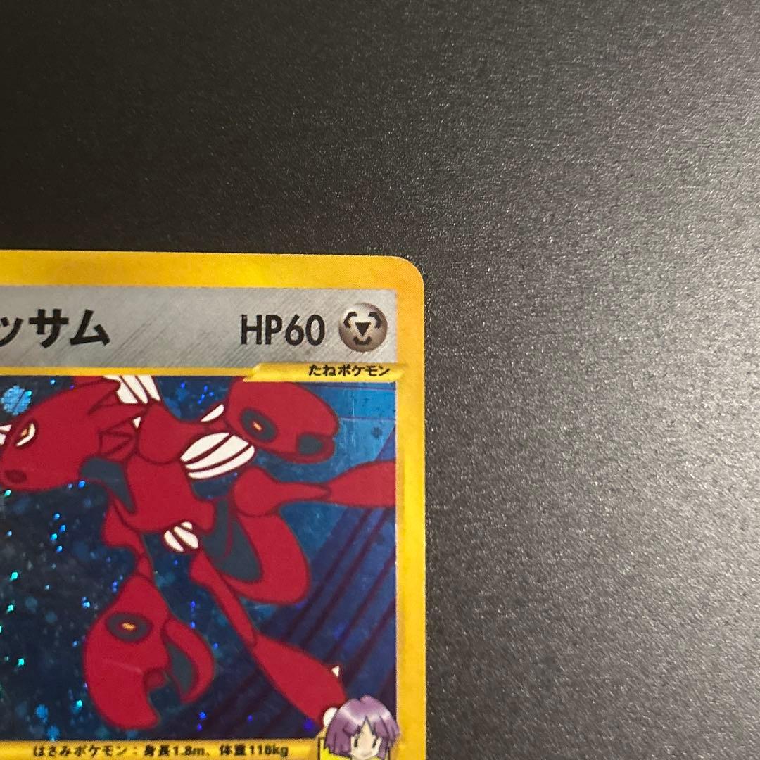 ツクシのハッサム 013/141 1枚