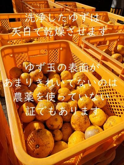 柚のや★送料込★高知県産ゆず酢900ml 4本 旬しぼり★農薬不使用★柚子酢