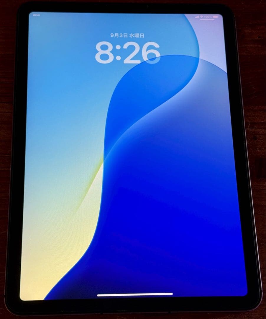 iPad Air セルラーモデル 256GB SIMフリー PEN付き