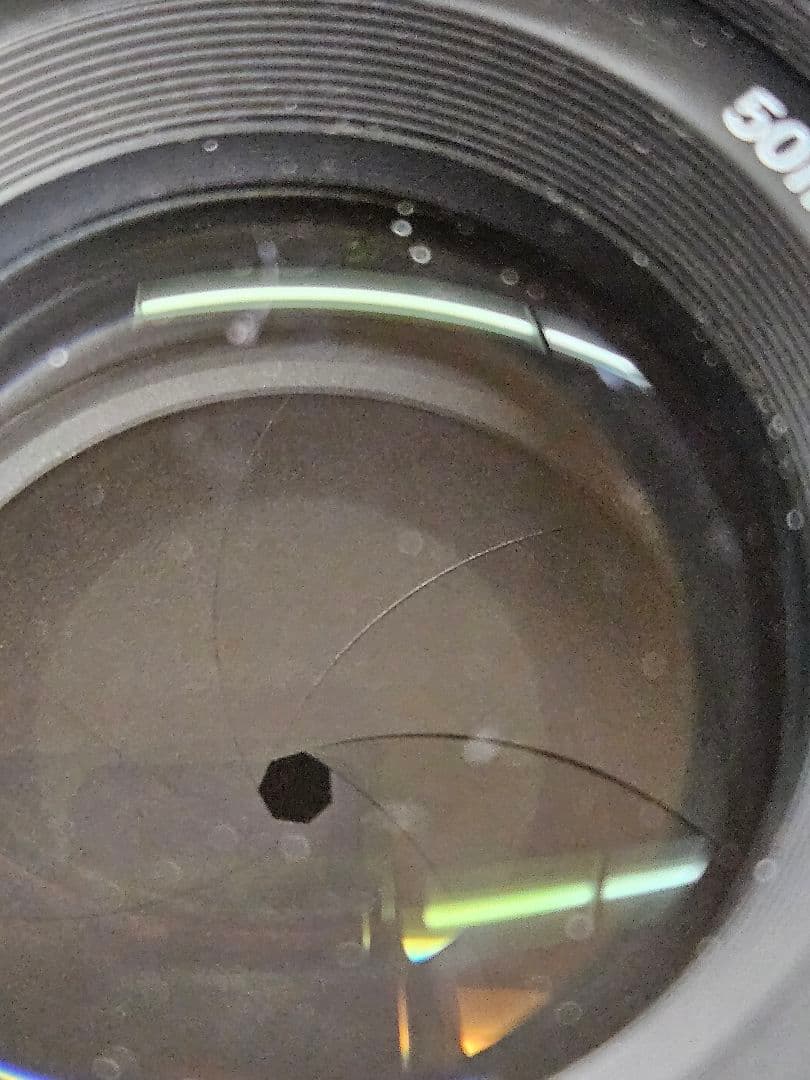 ニコン Nikon AF Nikkor 50mm f/1.4D