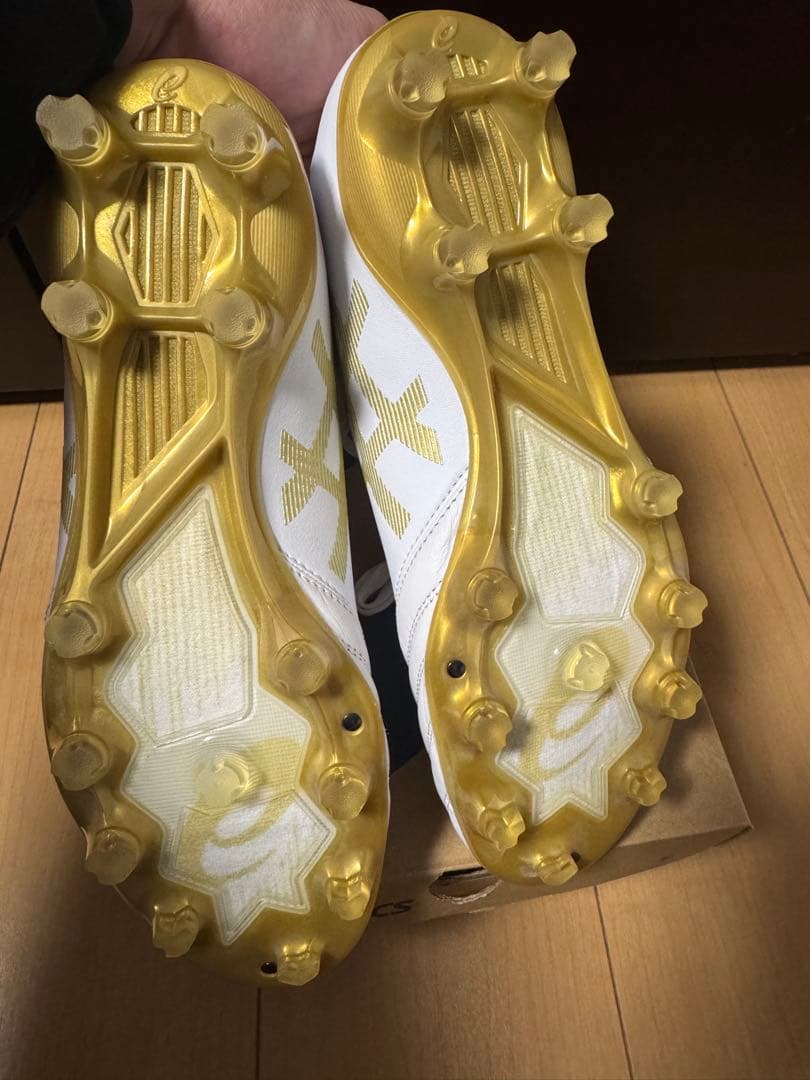 シューズ asics DS LIGHT X-FLY PRO 25.5cm