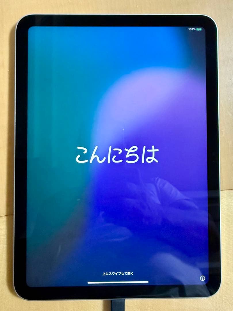 Apple iPad （第10世代）256G Wi-Fiシルバー 本体 充電器付