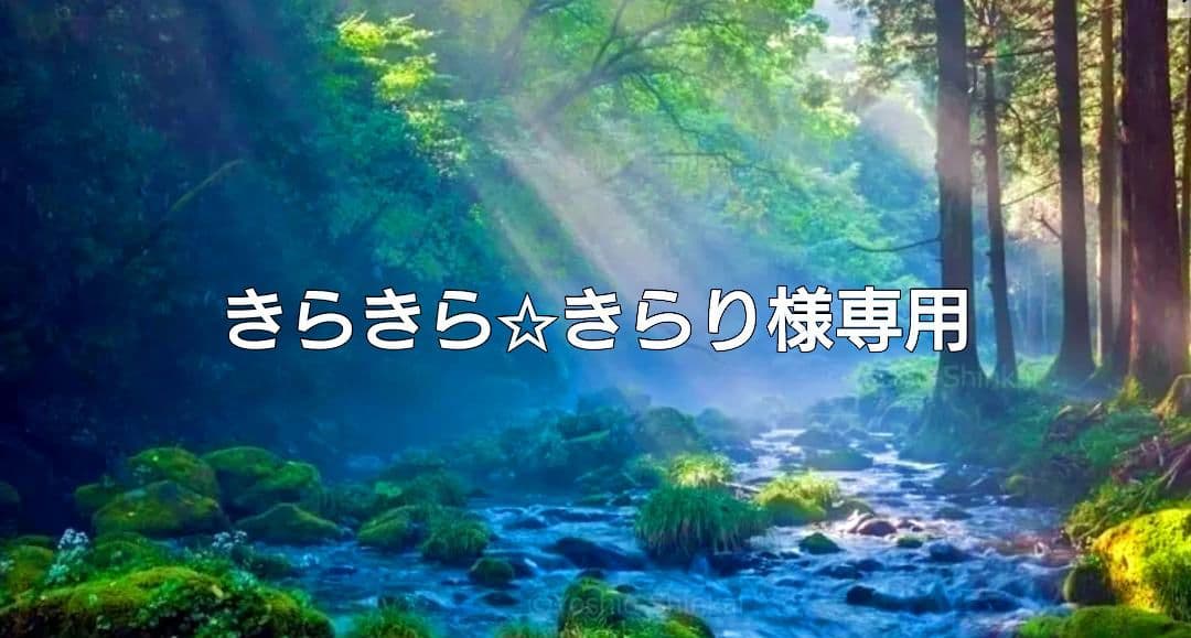 きらきら☆きらり✨特典付電磁波防止✨本物CMCペンダントUSA版4本値引