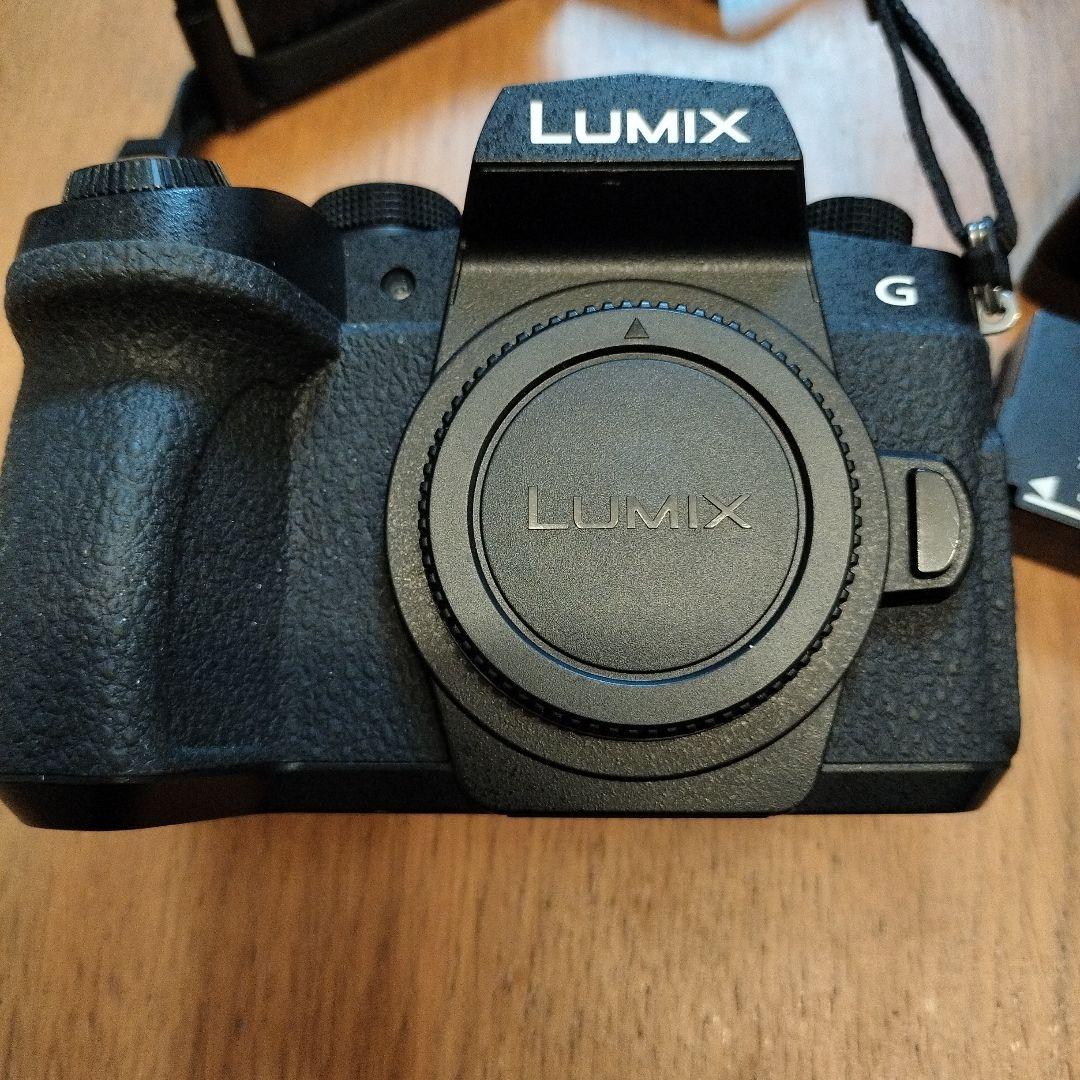 最終値下げ Panasonic LUMIX DC-G99 ミラーレス一眼